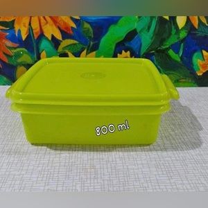 Tupperware Lunch Container